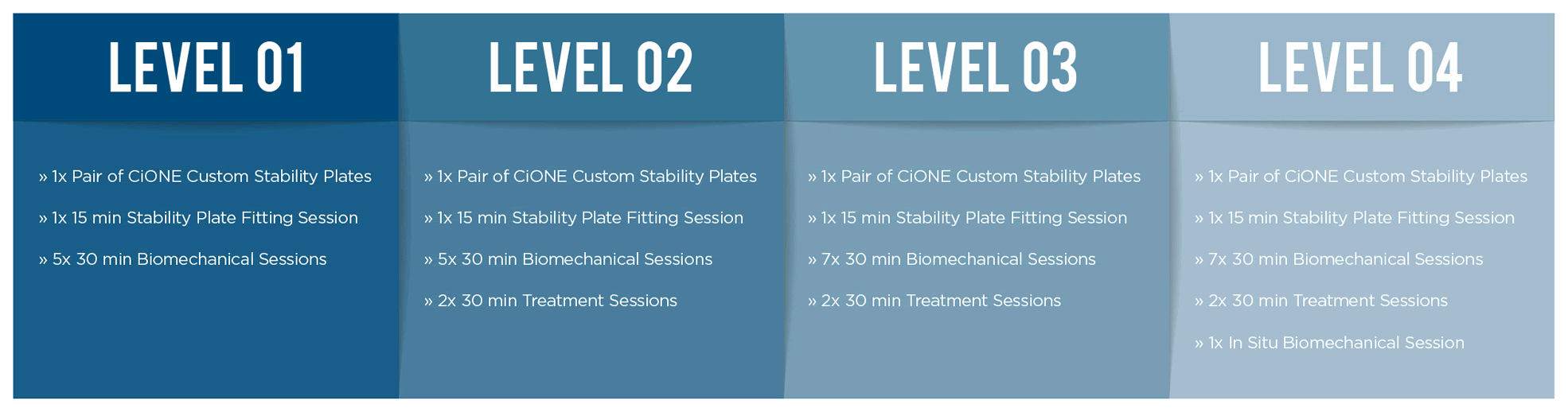 Treatment Program Levels