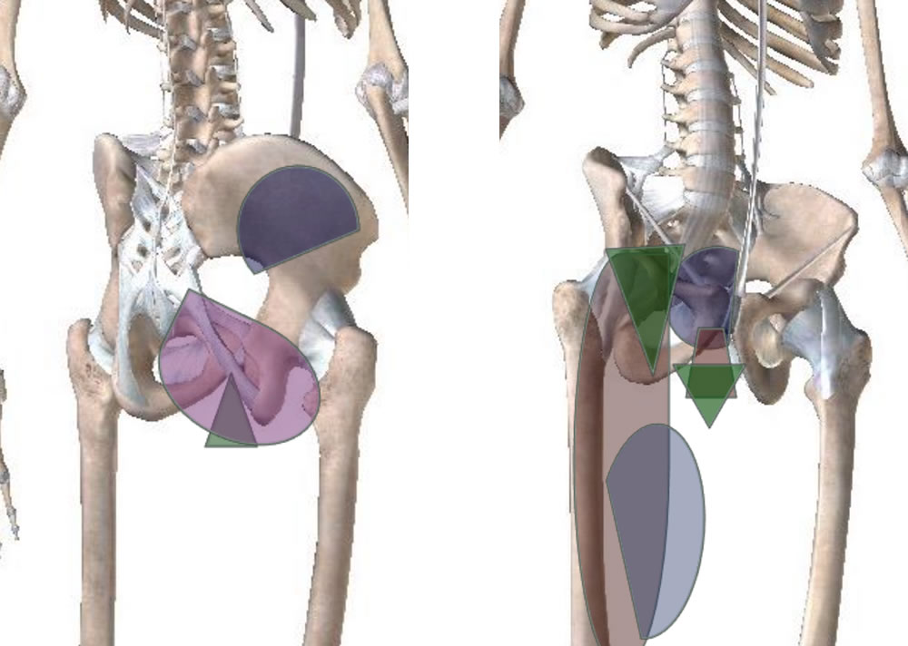Pelvic tensions
