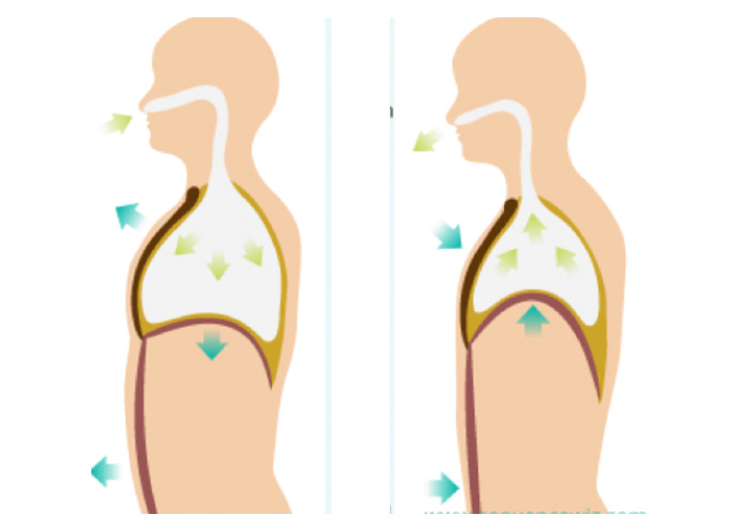 Poor Posture Impacts Breathing & Viral Fatigue
