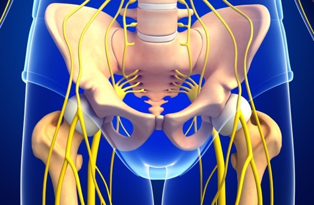 Male Pelvic Pain From Pudendal Nerve