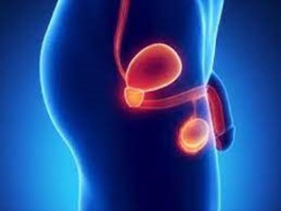Pudendal nerve pain 