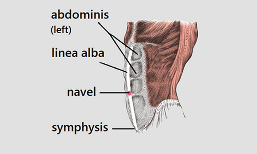 Chronic Male Back Pain With Stomach Issues
