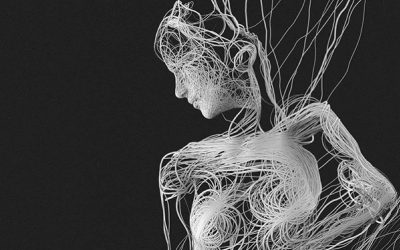 What is Fascia?