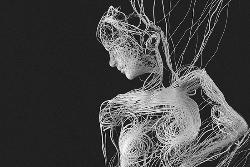 What is Fascia?